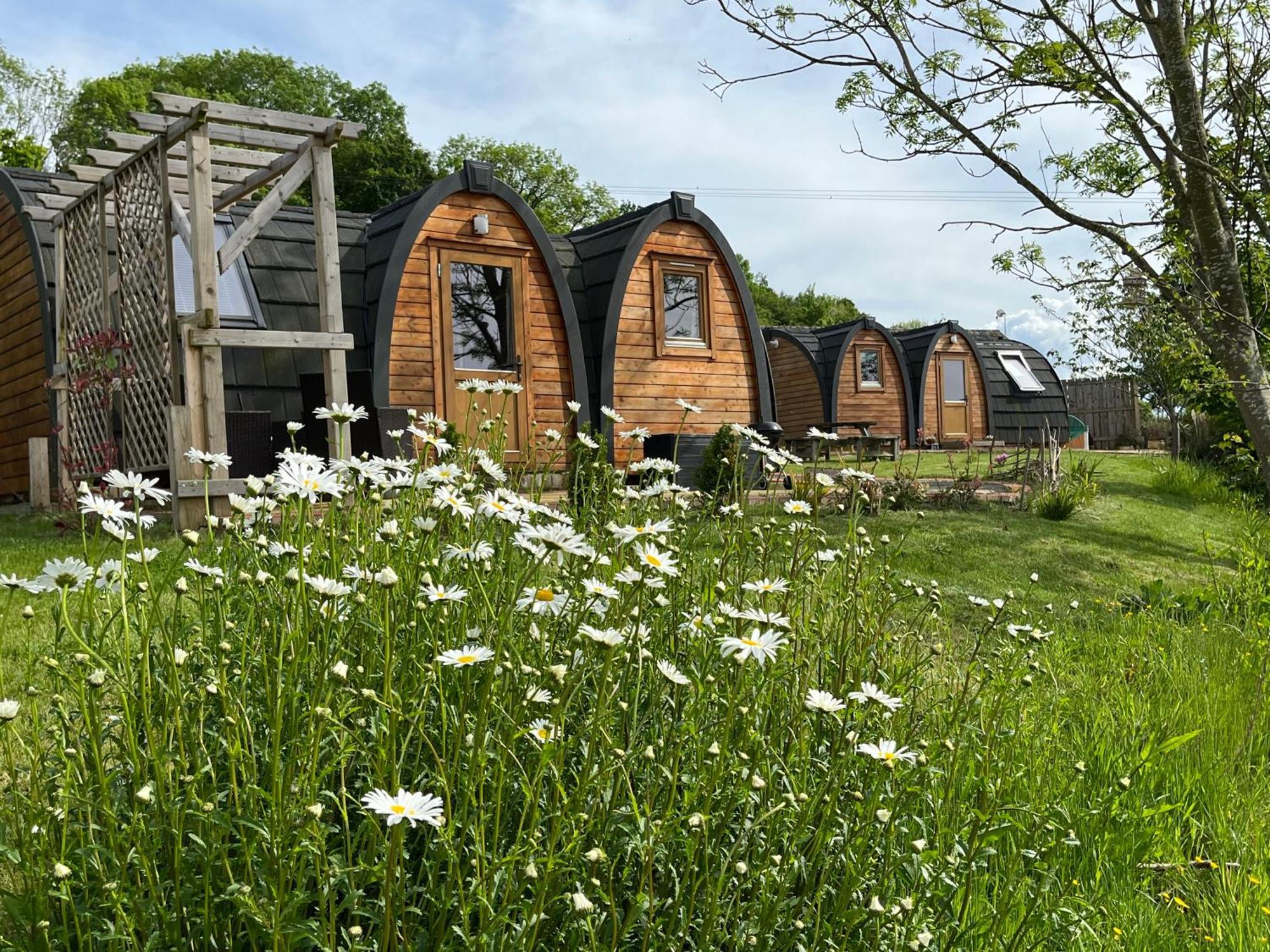 Hedgehog Glamping Pod School House Farm Hotel Leighton  Ngoại thất bức ảnh